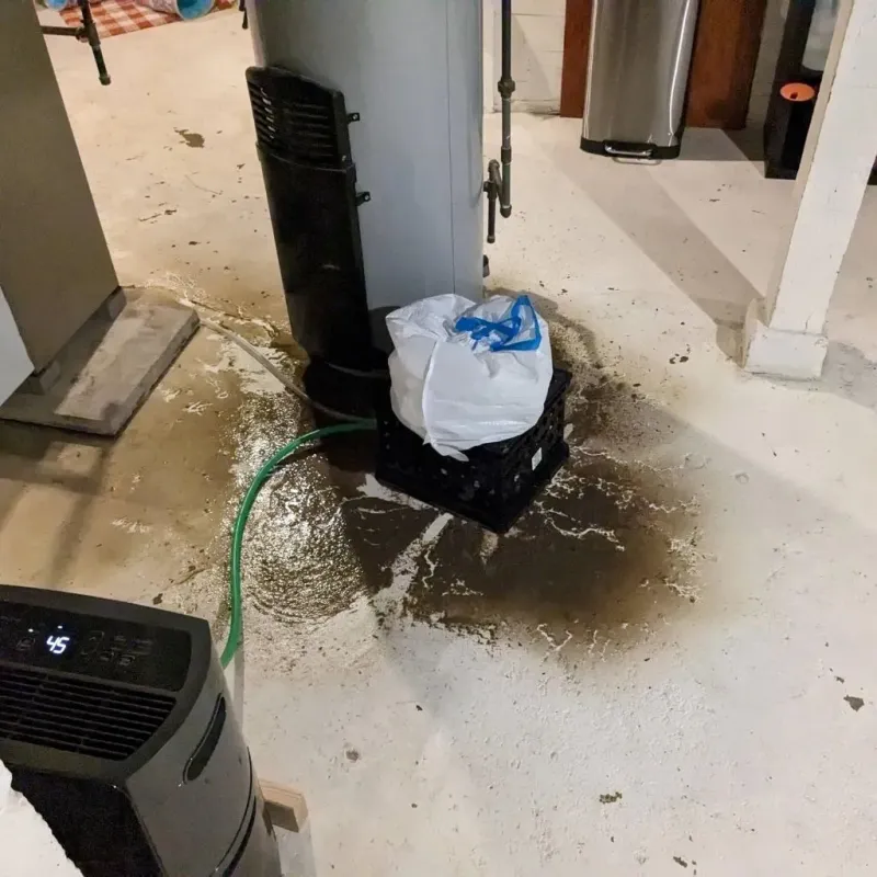 Sewage Backup Cleanup Service in Boone, IA
